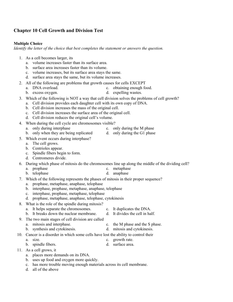 29 Cell Growth And Division Worksheet Worksheet Resource Plans