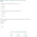 35 Cell Division Mitosis And Cytokinesis Worksheet Answers