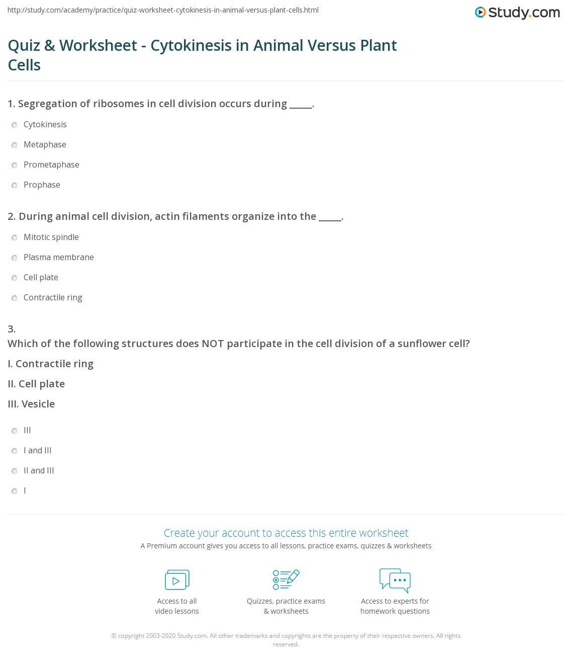 35 Cell Division Mitosis And Cytokinesis Worksheet Answers 