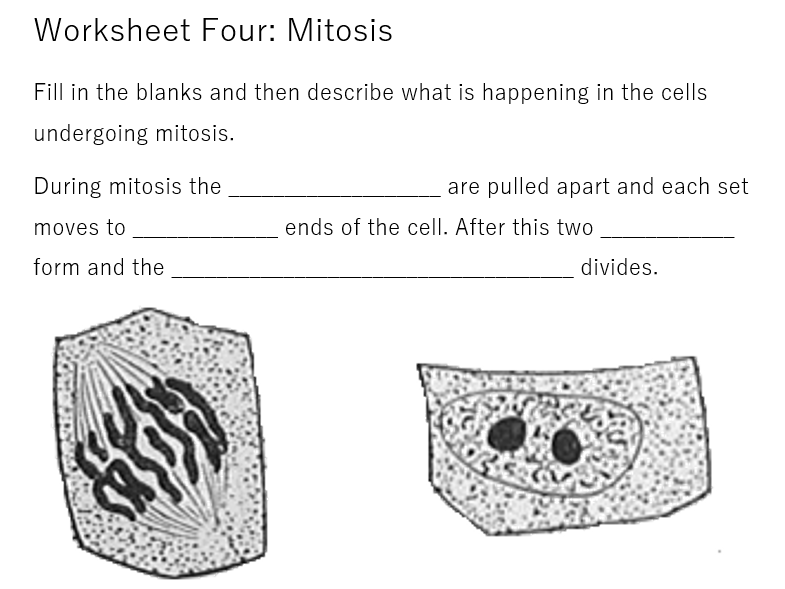 AQA GCSE Biology 4 1 2 Cell Division Revision Worksheets And Card 