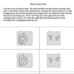 B2 Cell Division Recap revision GCSE Biology Teaching Resources