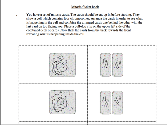 B2 Cell Division Recap revision GCSE Biology Teaching Resources