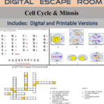 Biology Corner Cell Division Crossword Answers Cell Division