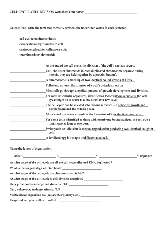 Cell Cycle Cell Division Worksheet Printable Pdf Download