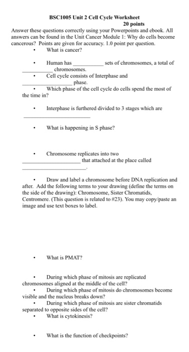 Cell Division And Cancer Worksheet Answers Cell Division