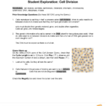 Cell Division Worksheet 12 1 Free Download Qstion co