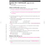 Cell Growth And Division Worksheet Worksheet List