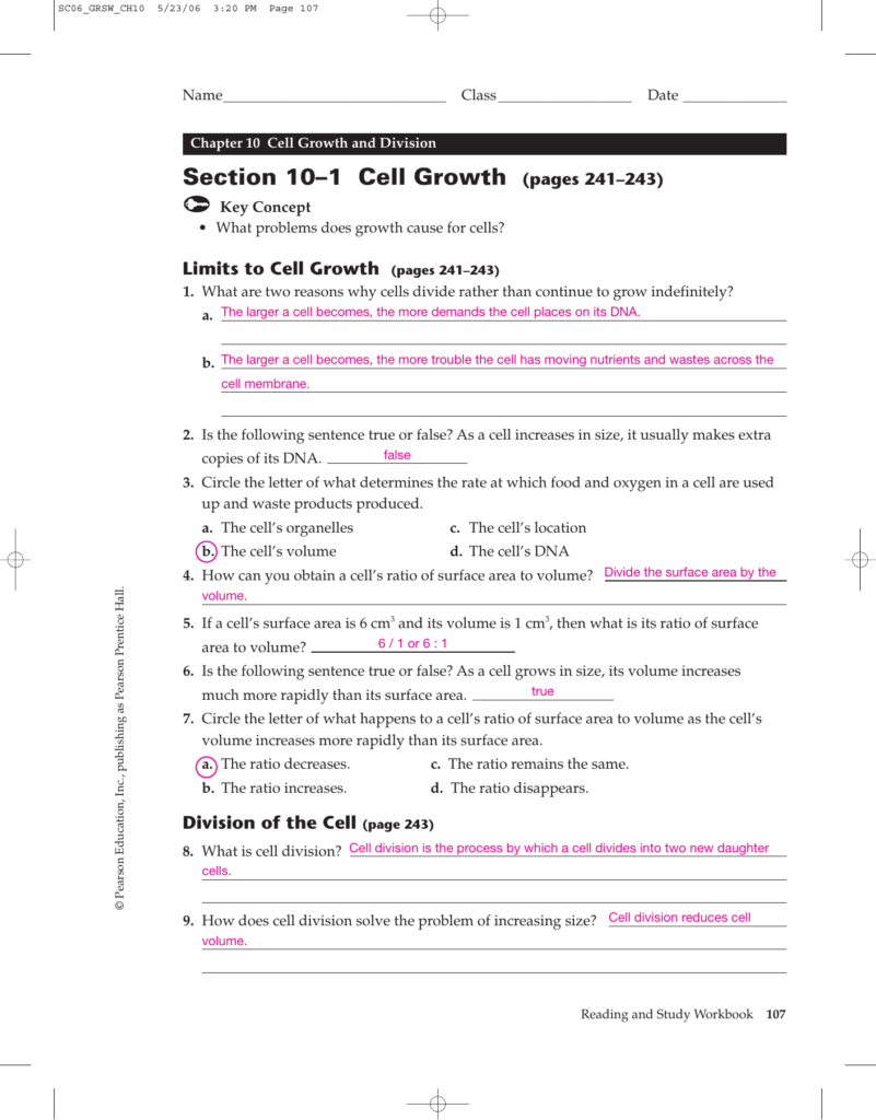 Cell Growth And Division Worksheet Worksheet List