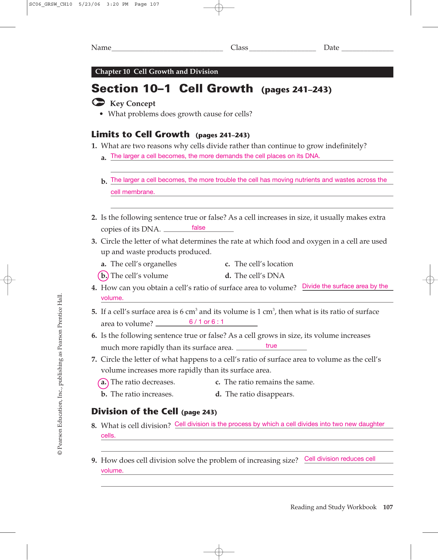 Cell Growth And Division Worksheet Worksheet List