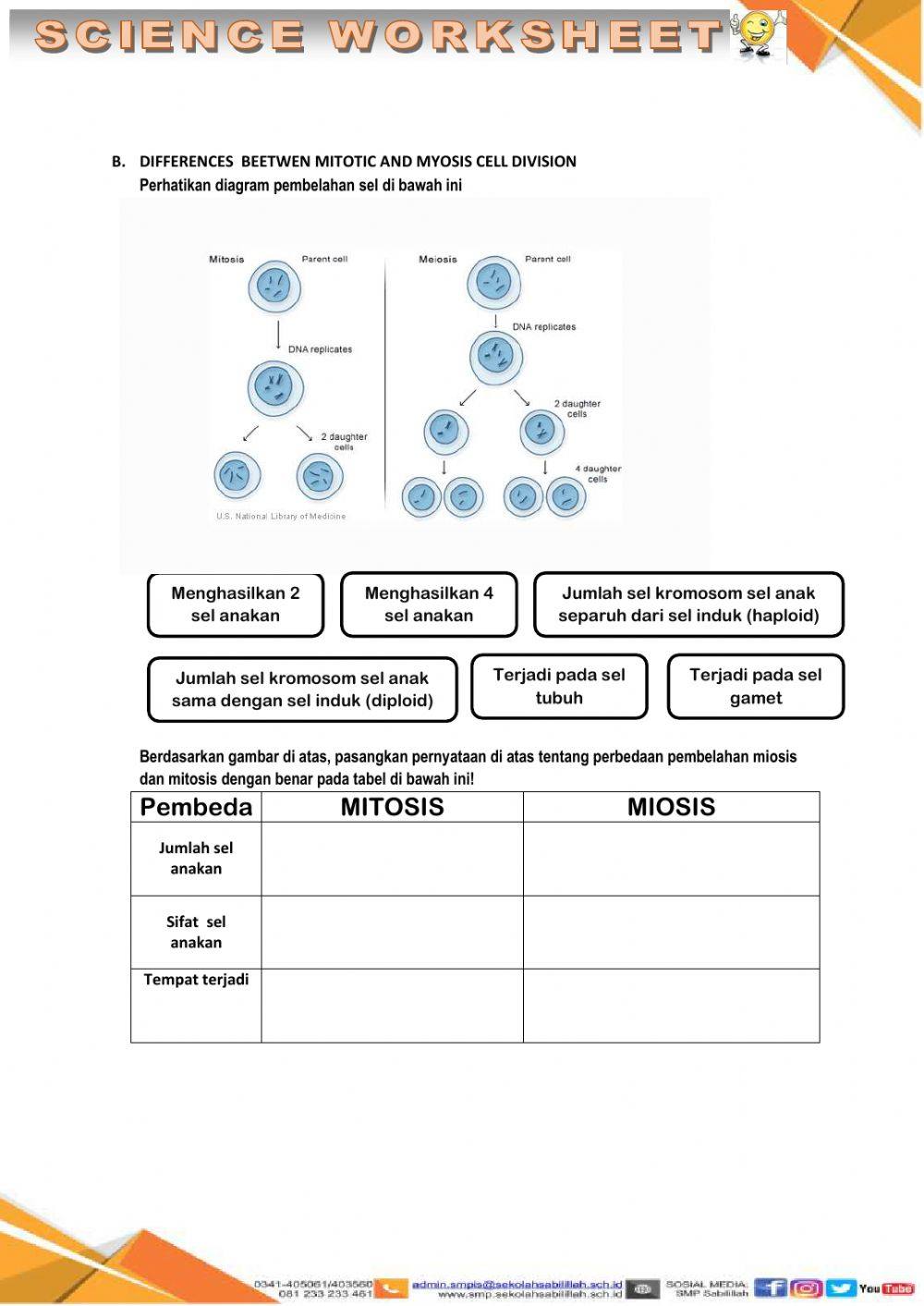 Cell Riddles Worksheet