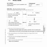 Chapter 10 Cell Growth And Division Worksheet Answer Key