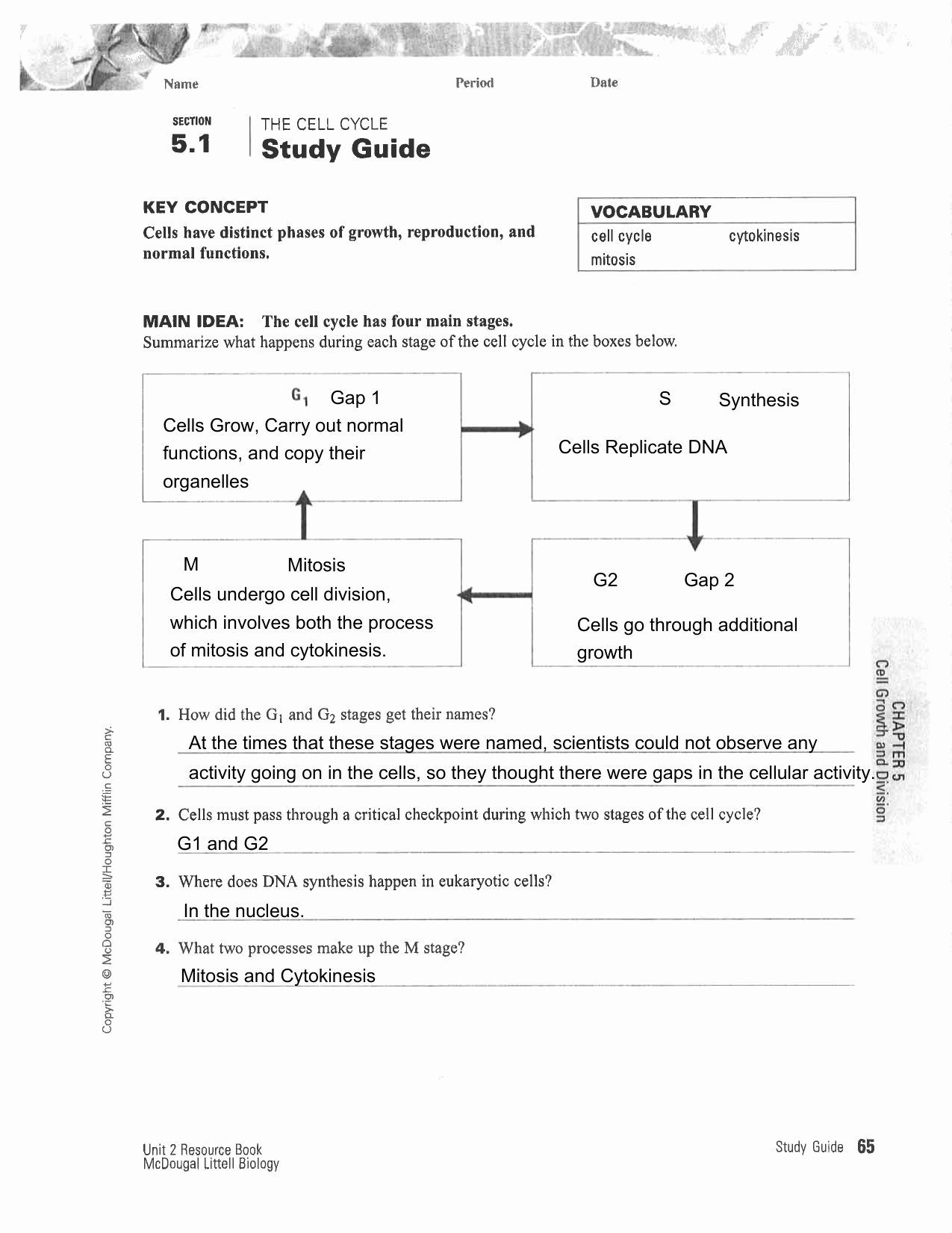 Chapter 10 Cell Growth And Division Worksheet Answer Key