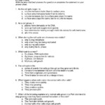 Chapter 10 Cell Growth And Division Worksheet Answer Key