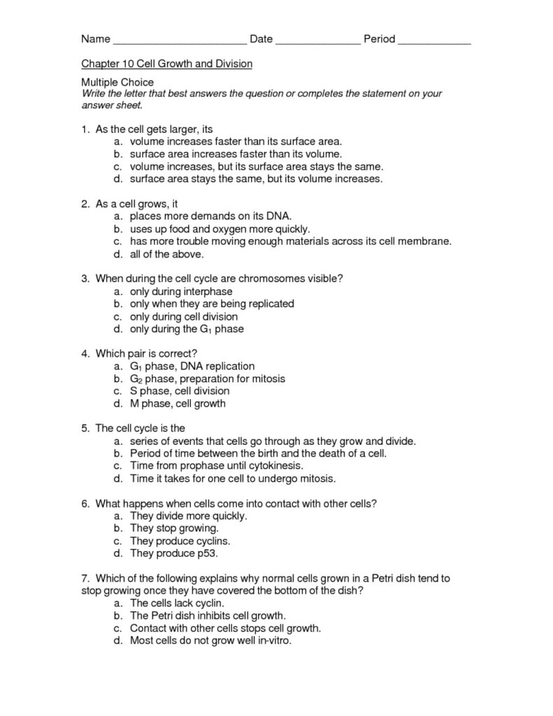 Chapter 10 Cell Growth And Division Worksheet Answer Key