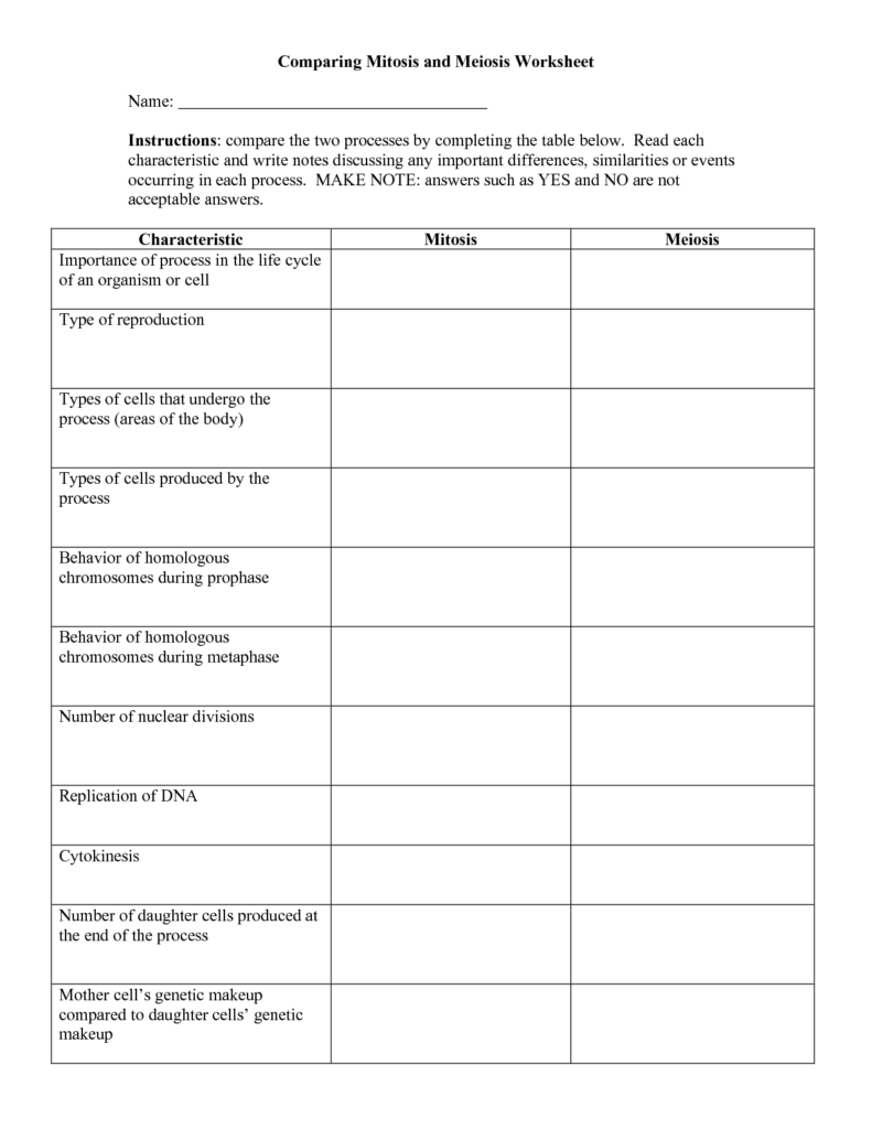 Chapter 3 Cells And Tissues Cell Division Answer Key Islero Guide 