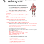 Chapter 3 Cells And Tissues Study Guide Answer Key Islero Guide