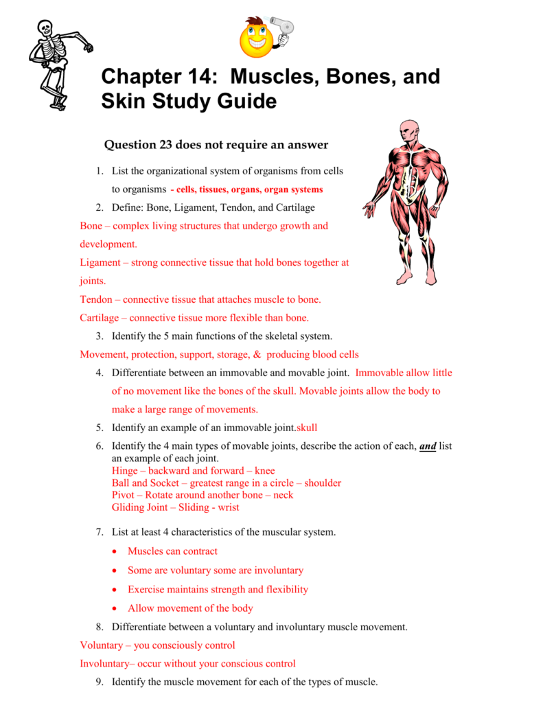 Chapter 3 Cells And Tissues Study Guide Answer Key Islero Guide 