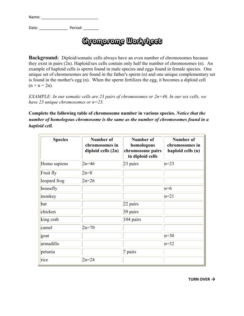 Chromosome Worksheet Answer Key