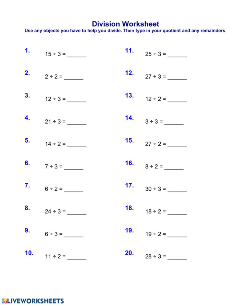 Division By 2 And 3 With And Without Remainders Worksheet