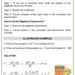 Division Of Algebraic Expressions Themed Math Worksheets