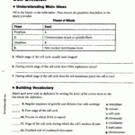 Gizmo Cell Division Answer Key Modified Cell Division Gizmo Gizmo