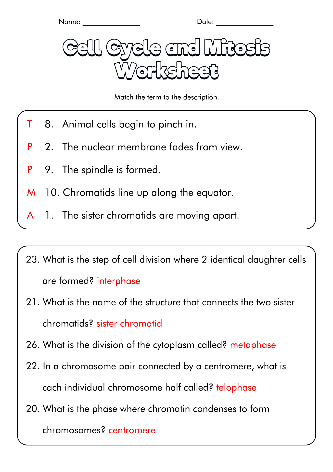 Meiosis Worksheet Answer Key Biology Corner 29 Section 1 