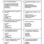 Nervous System Multiple Choice