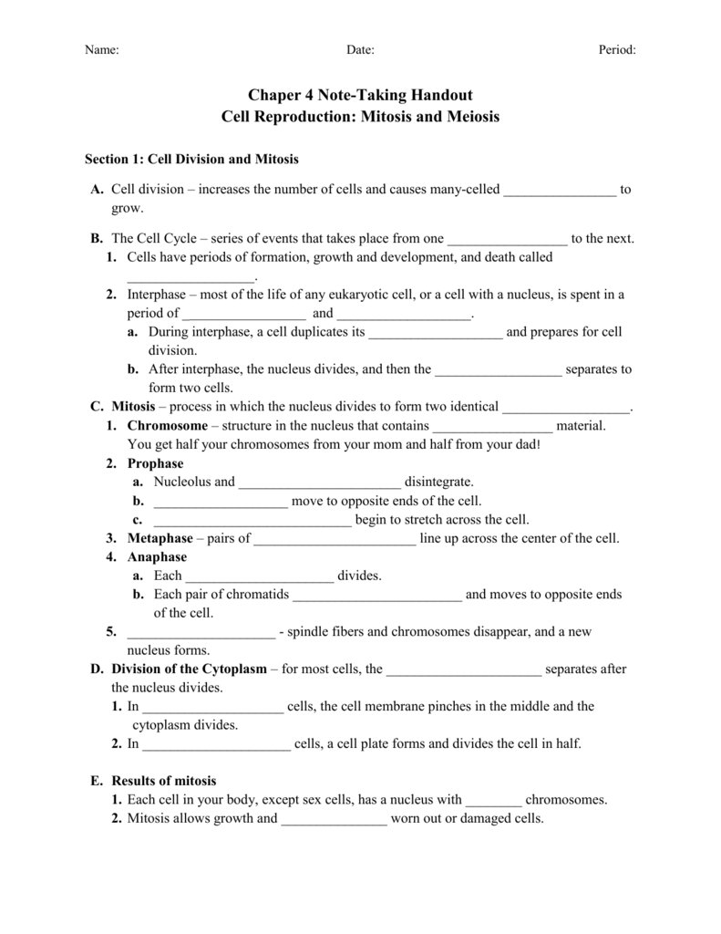 Section 1 Reinforcement Cell Division And Mitosis Worksheet Answers