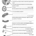 10th Grade Biology Worksheets With Answers Together With Biology