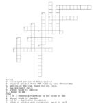 14 Mitosis Worksheet Answers Crossword Worksheeto