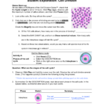 Answers For Cell Division Gizmo Islero Guide Answer For Assignment