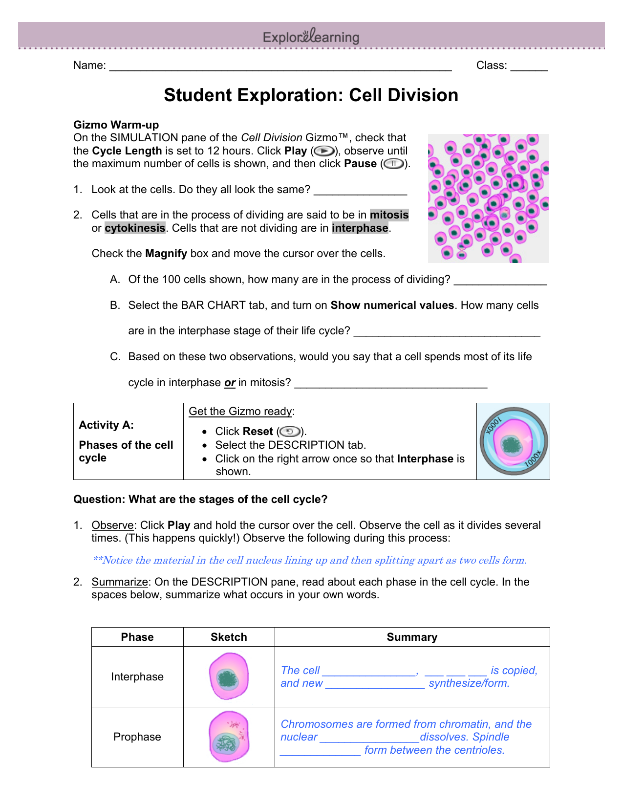 Answers For Cell Division Gizmo Islero Guide Answer For Assignment