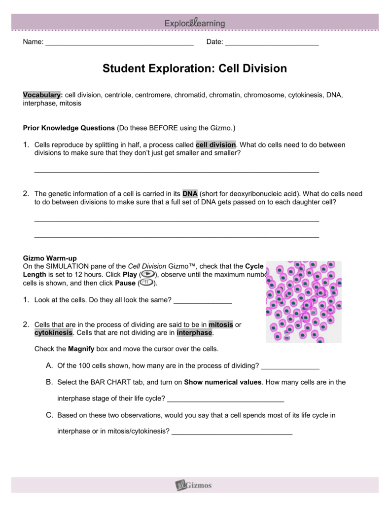 Bio Gizmo CellDivision