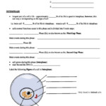 Cell Cycle And Mitosis Worksheet