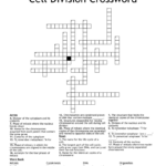 Cell Division Crossword WordMint