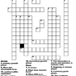 Cell Division Crossword WordMint