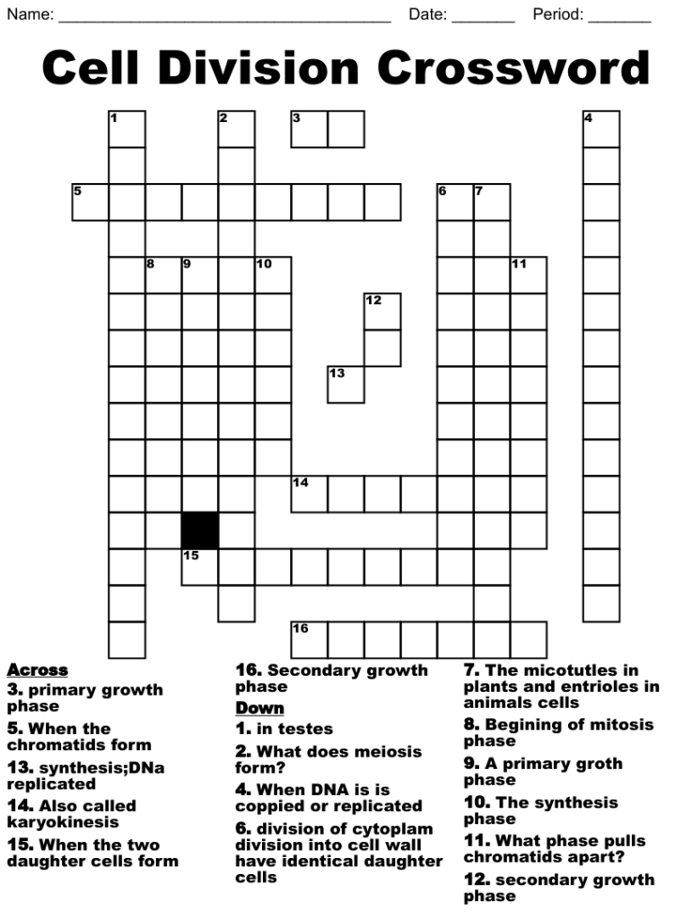 Cell Division Crossword WordMint