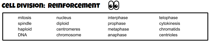 Cell Division Reinforcement