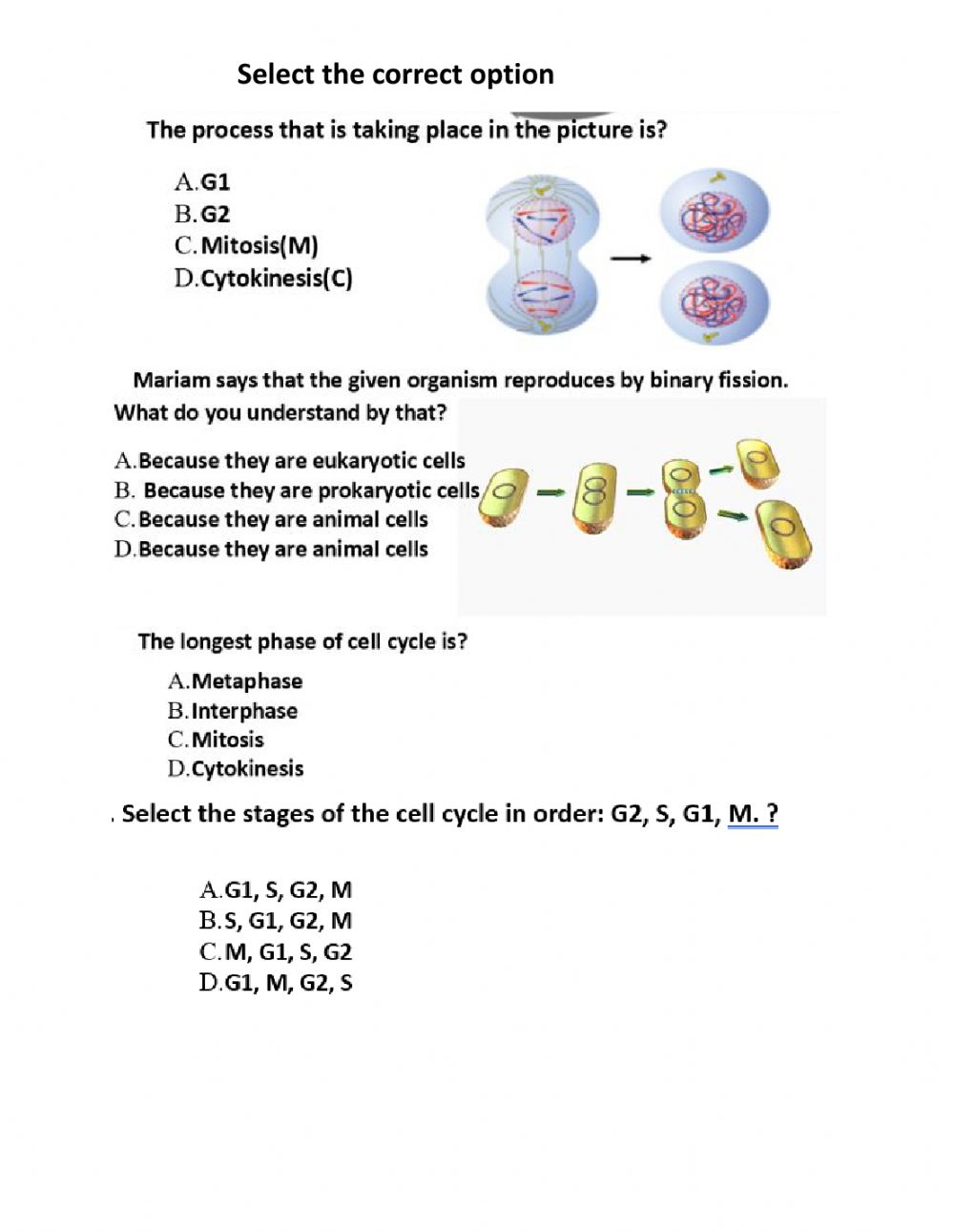 Cell Division Worksheet Answers