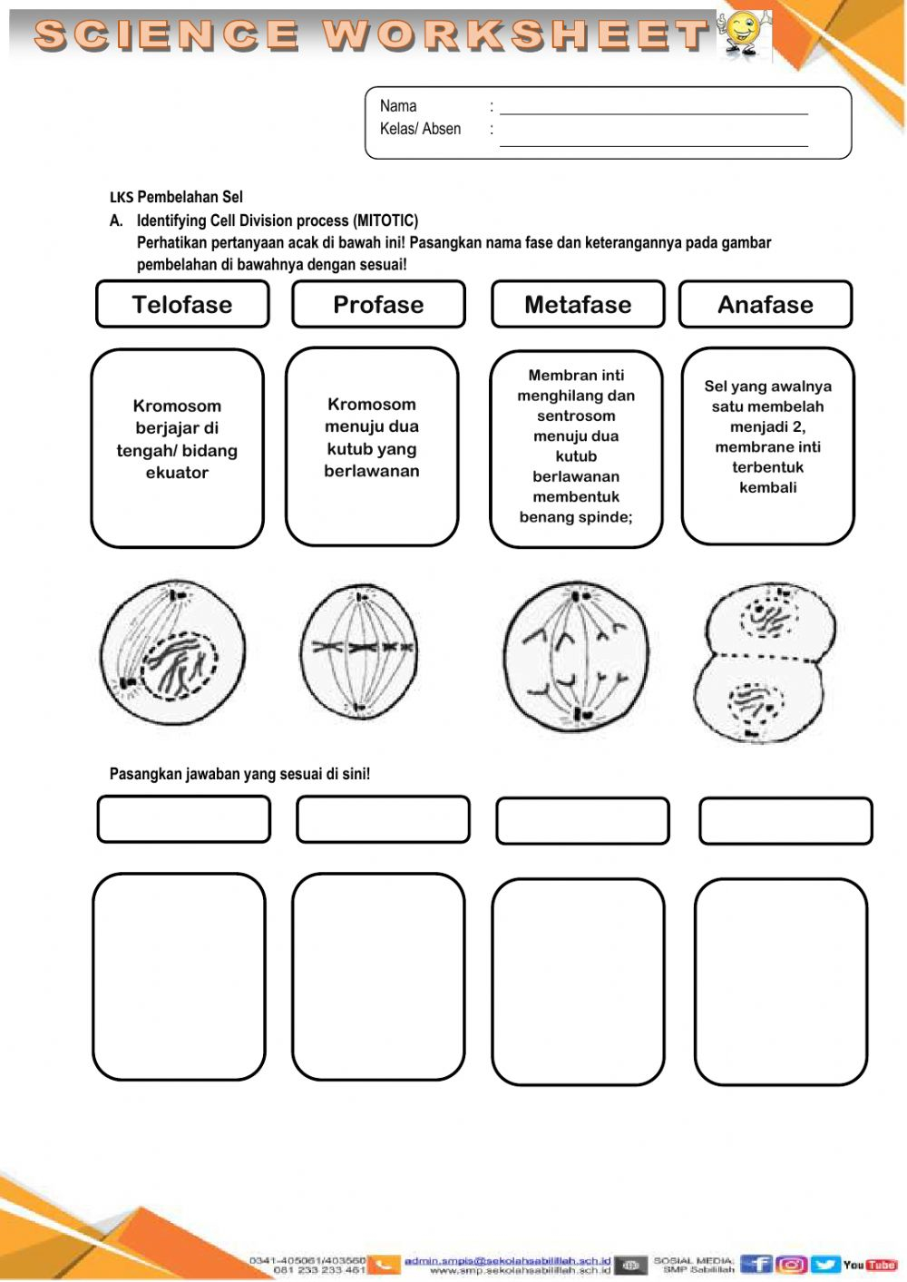 Cell Division Worksheet