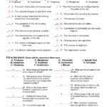 Cell Energy Cycle Gizmo Answer Pdf Discover Our Best Answer Key