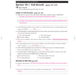 Cell Growth Division And Reproduction Worksheet Answers Martin Lindelof