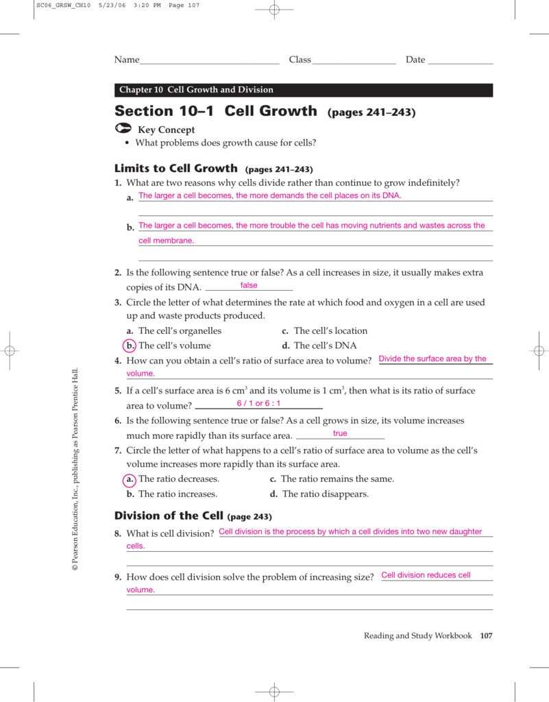 Cell Growth Division And Reproduction Worksheet Answers Martin Lindelof