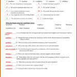 Cell Theory Timeline And Worksheet Answer Key Worksheet Resume Examples