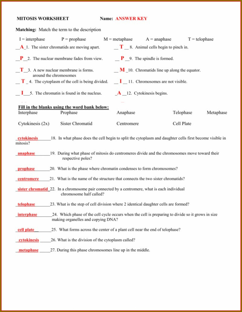 Cell Theory Timeline And Worksheet Answer Key Worksheet Resume Examples