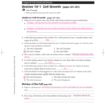 Chapter 10 Cell Growth And Division Worksheet Answer Key Db excel