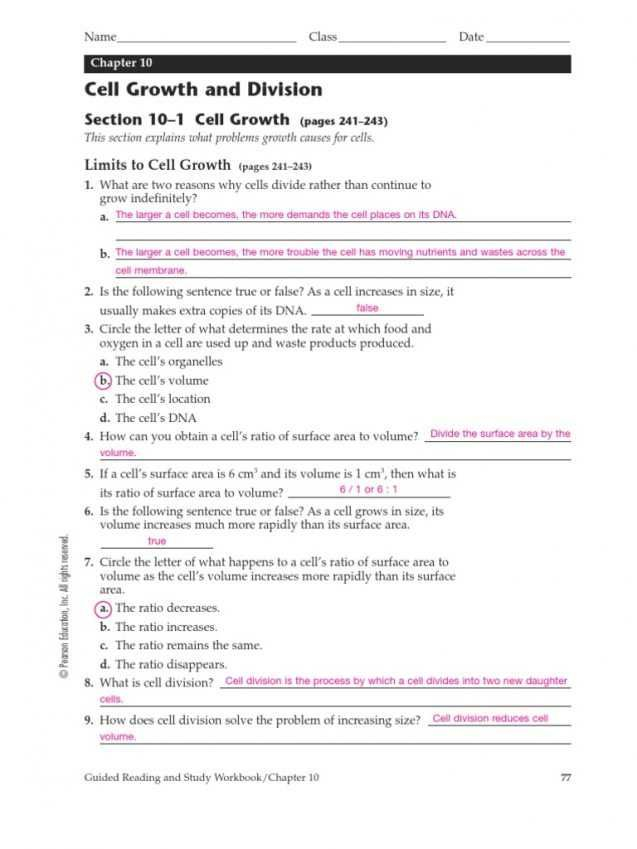 Chapter 10 Cell Growth And Division Worksheet Answer Key