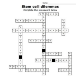 GCSE Biology Crosswords NEW Specification Chapter 2 Cell Division