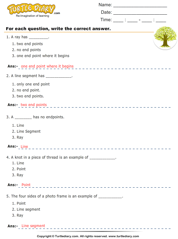 Identify Lines And Parts Of Lines Worksheet Turtle Diary