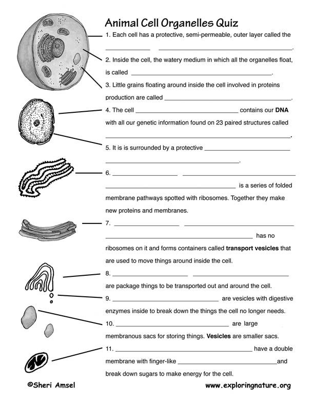 Pin On Instructional Activities